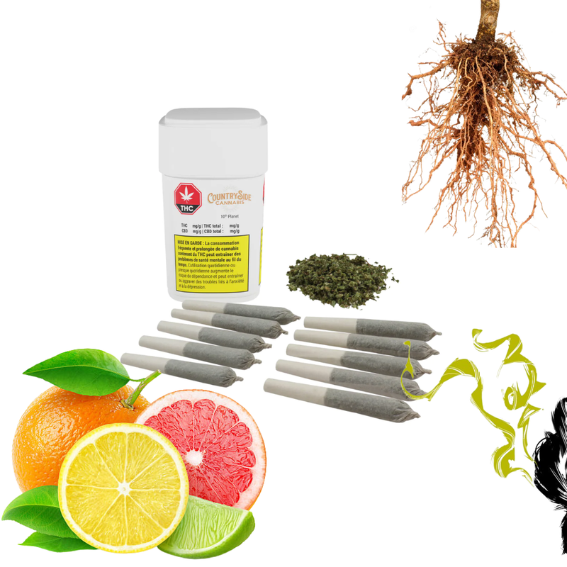10th Planet Pre Roll Countryside Cannabis-Morden Cannabis & Vape SuperStore Countryside Cannabis Pre-Rolls 10x0.5g 10th Planet Pre Roll by Countryside Cannabis