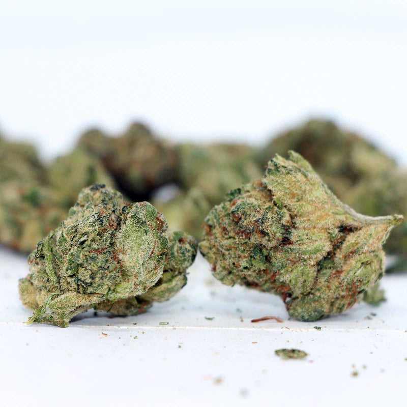 powdered donuts by original stash Morden Cannabis and Bong Shop
