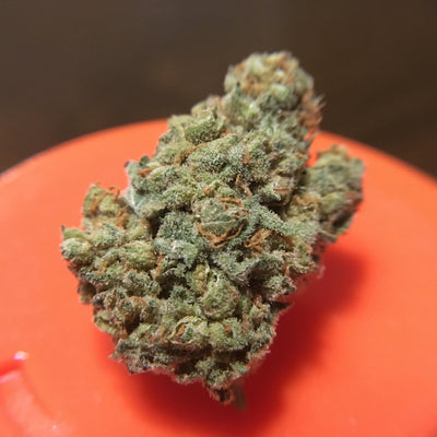 papaya by 7acres Morden Cannabis and Bong Shop