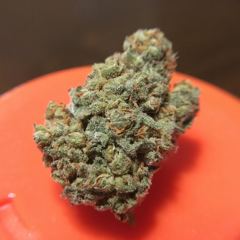 papaya by 7acres Morden Cannabis and Bong Shop
