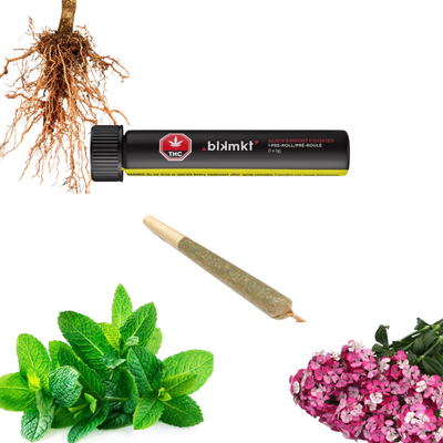 Alien Sinmint Cookies Pre-Roll 1x1g Pre-Roll by BLKMKT-Morden Cannabis BLKMKT Pre-Rolls 1x1g Alien Sinmint Cookies Pre-Roll 1x1g Pre-Roll by BLKMKT