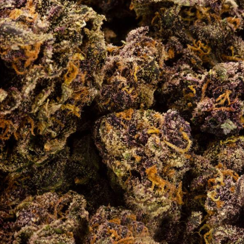 All Purpose Flower Indica by Bake Sale-Morden Cannabis & Vape SuperStore Bake Sale Flower 14g All Purpose Flower Indica by Bake Sale