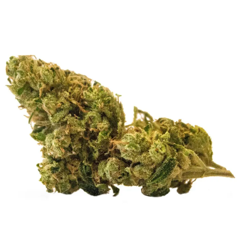 BC God Bud Verse Originals-Morden Vape SuperStore & Cannabis Dispensary Verse Originals Flower 28g BC God Bud by Verse Originals