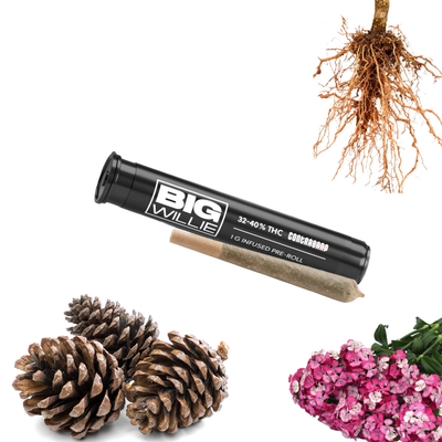 Big Willie Concentrate Infused Pre-Roll Contraband- Morden Cannabis Contraband Pre-Rolls 1g BIG WILLIE Concentrate Infused Pre-Roll