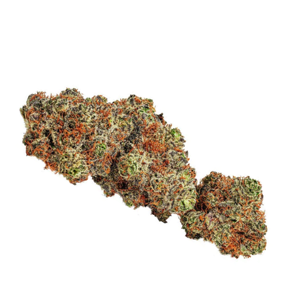 Blck Cndylnd by BOLD-Morden Cannabis and Bong Shop, Manitoba, Canada BOLD Growth INC Flower 3.5g Blck Cndylnd by BOLD