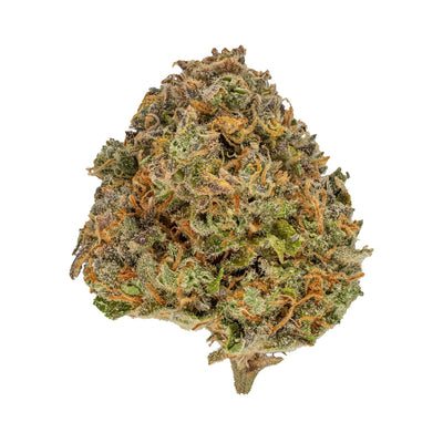 Blue Gorilla by Muskoka Grown-Morden Cannabis and Bong Shop, Manitoba Muskoka Grown Flower 3.5g Blue Gorilla by Muskoka Grown