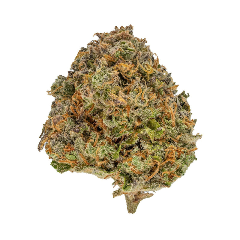 Blue Gorilla by Muskoka Grown-Morden Cannabis and Bong Shop, Manitoba Muskoka Grown Flower 3.5g Blue Gorilla by Muskoka Grown