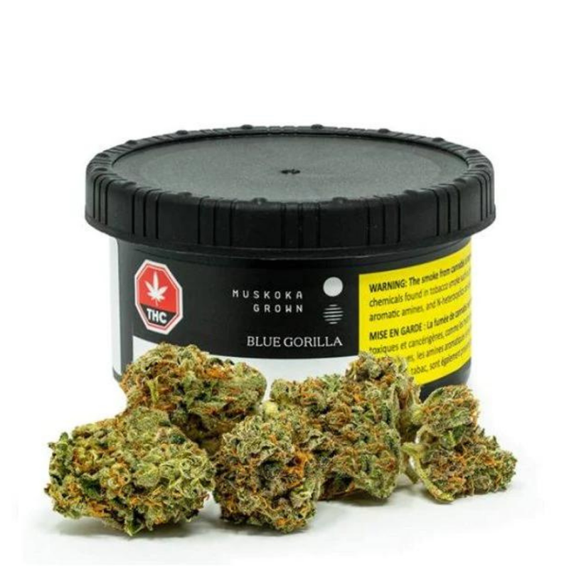 Blue Gorilla by Muskoka Grown-Morden Cannabis and Bong Shop, Manitoba Muskoka Grown Flower 3.5g Blue Gorilla by Muskoka Grown