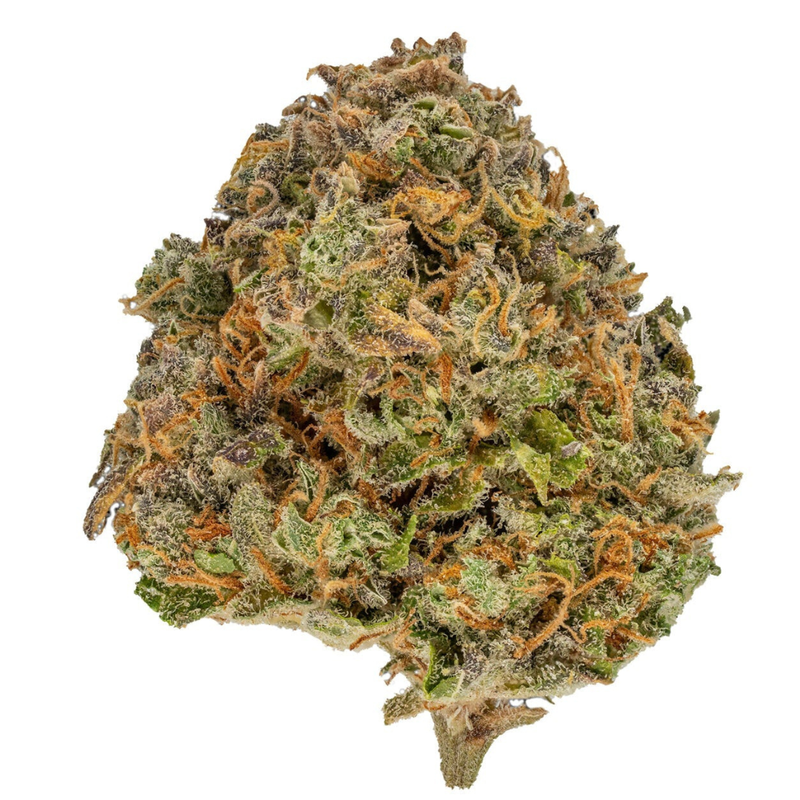 Blue Gorilla by Muskoka Grown-Morden Cannabis and Bong Shop, Manitoba Muskoka Grown Flower 3.5g Blue Gorilla by Muskoka Grown