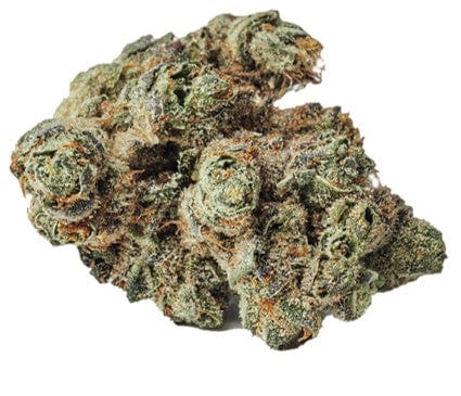 BOLD Growth INC Flower 3.5g Garlic Toast Flower by BOLD-Morden Vape SuperStore & Cannabis Manitoba