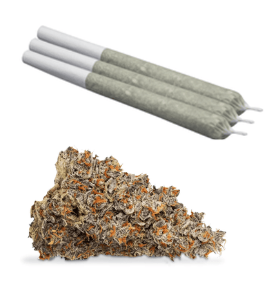 Broken Coast Pre-Rolls 3x0.5g Platinum Garlic Pre-Rolls by Broken Coast-3x0.5g-Morden Vape & Cannabis