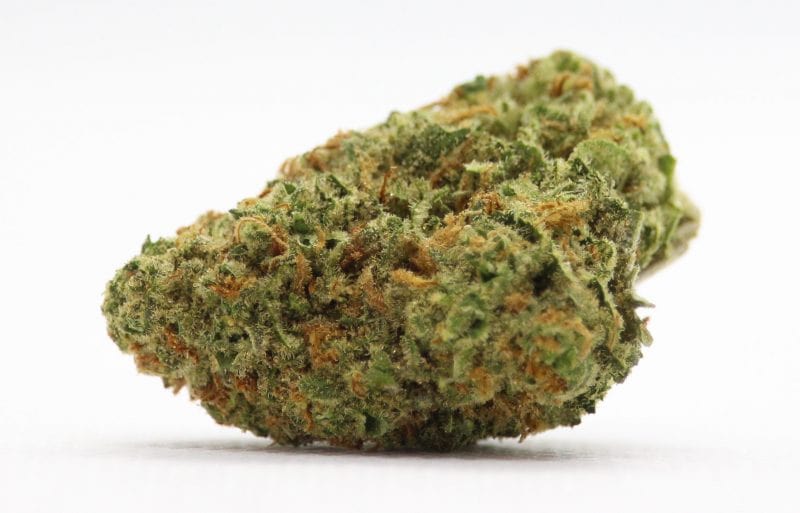 Color Cannabis Flower 3.5g Blueberry Seagal By Color Cannabis-Morden Vape SuperStore & Cannabis MB