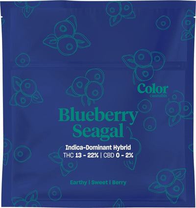 Color Cannabis Flower 3.5g Blueberry Seagal By Color Cannabis-Morden Vape SuperStore & Cannabis MB