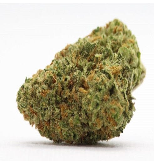 Color Cannabis Flower 3.5g Blueberry Seagal By Color Cannabis-Morden Vape SuperStore & Cannabis MB