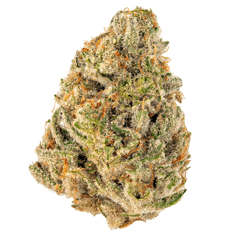 Cookies Flower 3.5g Cheetah P Flower by Cookies-Morden Vape SuperStore & Cannabis Manitoba
