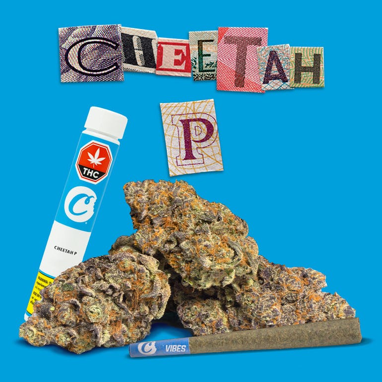 Cookies Pre-Rolls 1x1g Cheetah P Pre-roll by Cookies 1x1g-Morden Vape & Cannabis Manitoba, CA