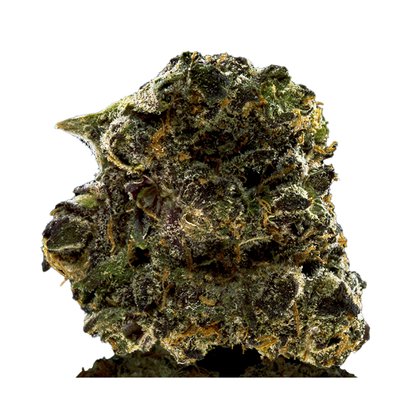 Craft Blue Sherbet by Wink-Morden Cannabis and Bong Shop, Manitoba WINK Flower 3.5g Craft Blue Sherbet by Wink