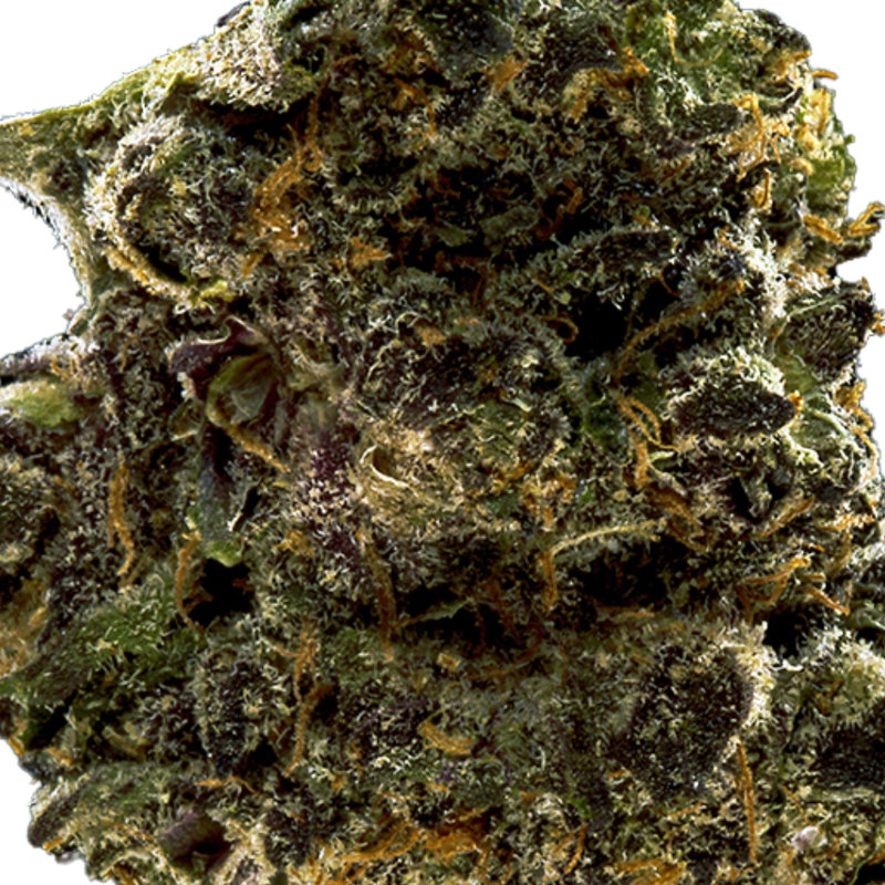 Craft Blue Sherbet by Wink-Morden Cannabis and Bong Shop, Manitoba WINK Flower 3.5g Craft Blue Sherbet by Wink