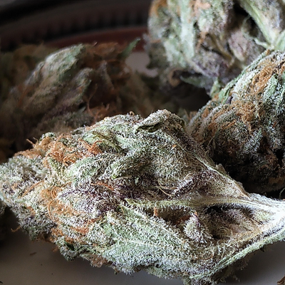Craft Mango Sapphire by Wink-Morden Cannabis and Bong Shop, Manitoba  WINK Flower 3.5g ($7.13 Per Gram) Craft Mango Sapphire by Wink