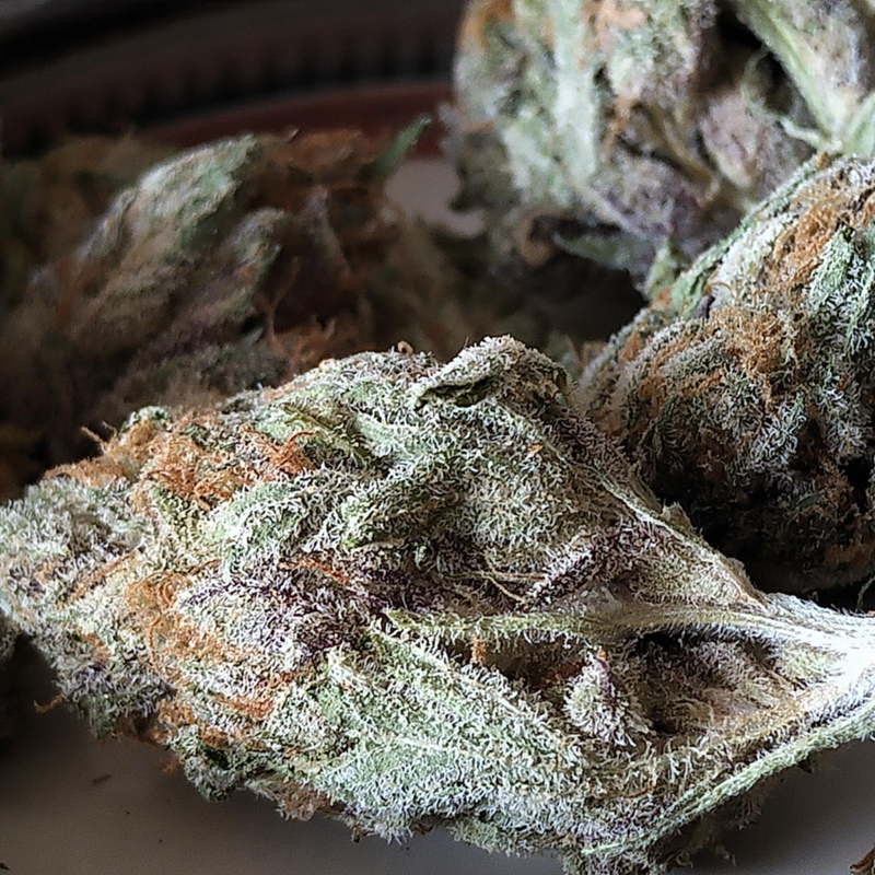 Craft Mango Sapphire by Wink-Morden Cannabis and Bong Shop, Manitoba  WINK Flower 3.5g ($7.13 Per Gram) Craft Mango Sapphire by Wink