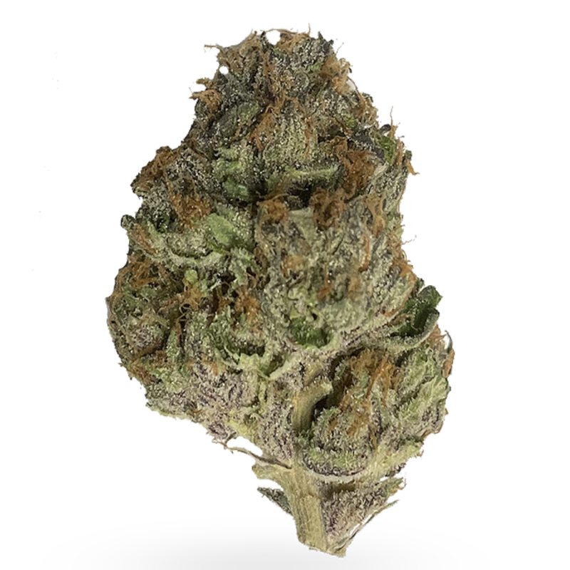 Craft Mango Sapphire by Wink-Morden Cannabis and Bong Shop, Manitoba  WINK Flower 3.5g ($7.13 Per Gram) Craft Mango Sapphire by Wink