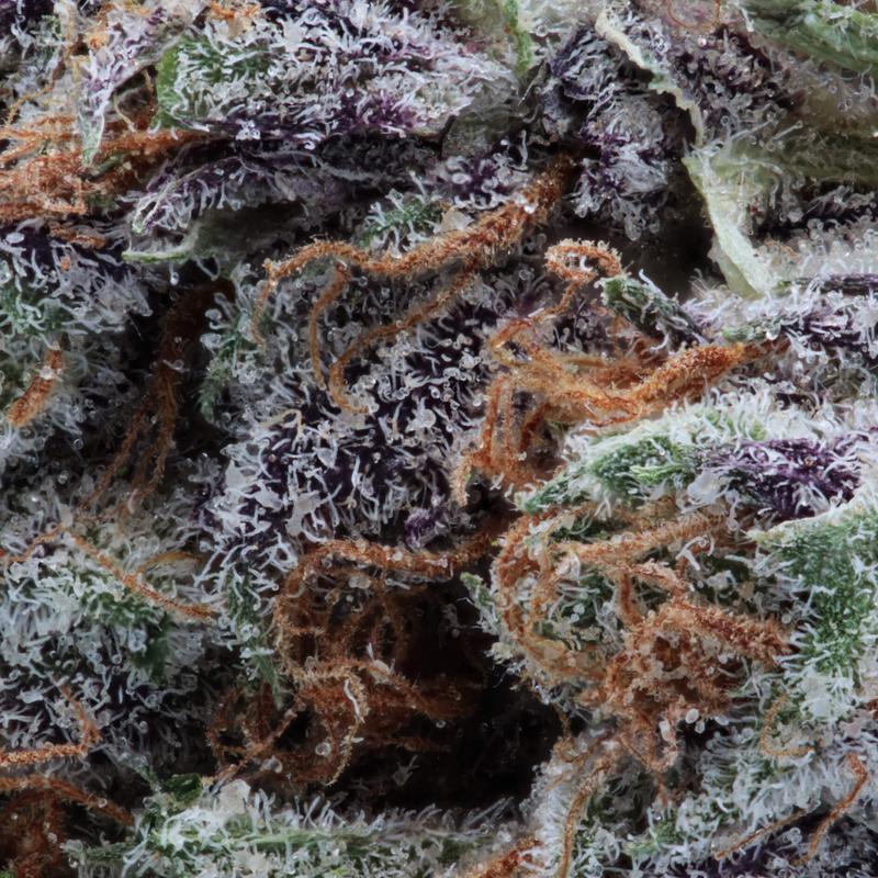 Craft Mango Sapphire by Wink-Morden Cannabis and Bong Shop, Manitoba  WINK Flower 3.5g ($7.13 Per Gram) Craft Mango Sapphire by Wink