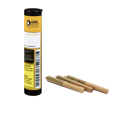 Diesel Kush Resin Infused Pre Roll by Dab Bods- Morden Cannabis  Dab Bods Pre-Rolls 3x0.5g Diesel Kush Resin Infused Pre-Rolls by Dab Bods