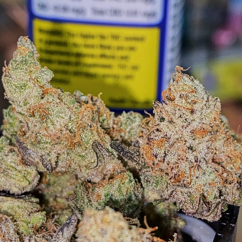 Dosi-GMOsi 