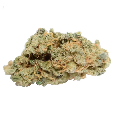 Dragon's Lettuce by THC Boimed-Morden Cannabis and Bong Shop Manitoba THC Boimed Flower 7g Dragon's Lettuce by THC Boimed