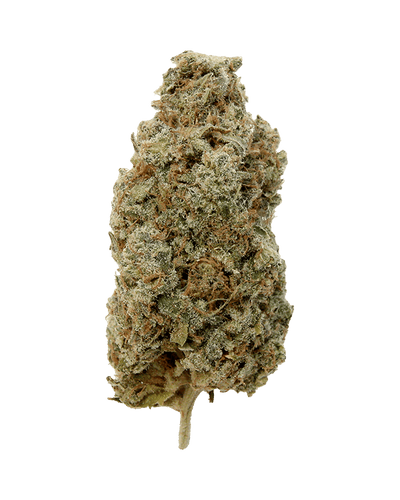 Entourage Cannabis Flower 3.5g Lemon Sour Diesel By Entourage Cannabis-Morden Vape SuperStore & Cannabis MB