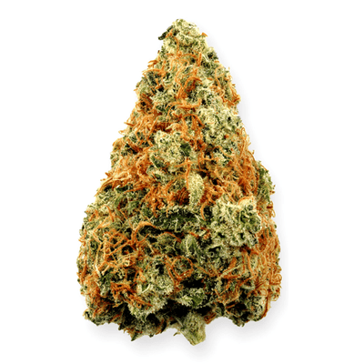 Highland Grow Flower 1G Sensi Wizard Flower by Highland Grow-1g-Morden Vape & Cannabis
