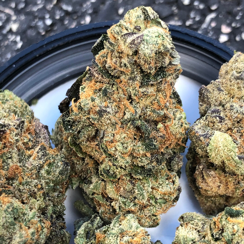 Jet Fuel Gelato by Spinach-Morden Cannabis and Bong Shop, Manitoba Canada Spinach Flower 3.5g Jet Fuel Gelato by Spinach