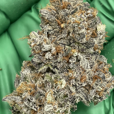 Kmintz by Cypress Craft-Morden Cannabis and Bong Shop, Manitoba Cypress Craft Flower 3.5g Kmintz by Cypress Craft