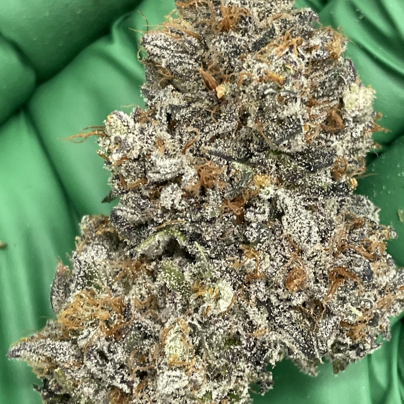 Kmintz by Cypress Craft-Morden Cannabis and Bong Shop, Manitoba Cypress Craft Flower 3.5g Kmintz by Cypress Craft