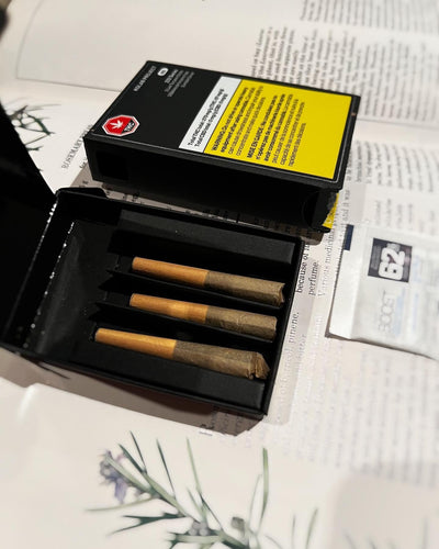Kolab Project Pre-Rolls 3x0.5g Kolab 232 Series BCP Live Terpene Sticks Pre-rolls-Morden Vape & Cannabis