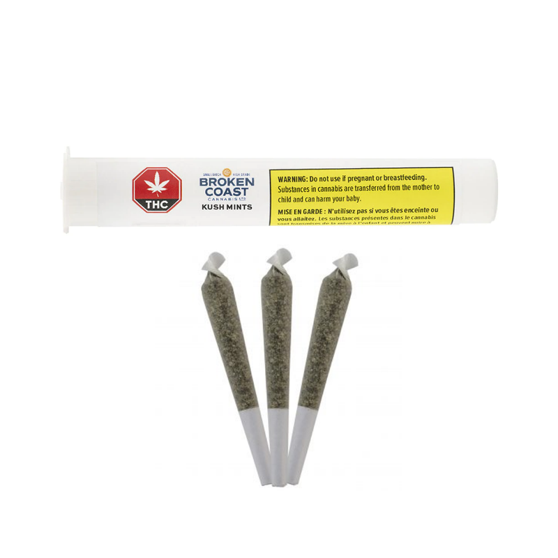 Kush Mints Pre-Rolls by Broken Coast-Morden Cannabis & Bong Shop Broken Coast Pre-Rolls 3x0.5g Kush Mints Pre-Rolls by Broken Coast