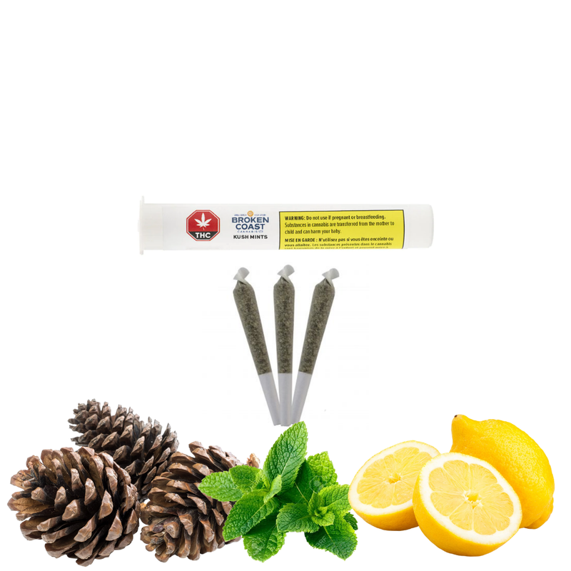 Kush Mints Pre-Rolls by Broken Coast-Morden Cannabis & Bong Shop Broken Coast Pre-Rolls 3x0.5g Kush Mints Pre-Rolls by Broken Coast