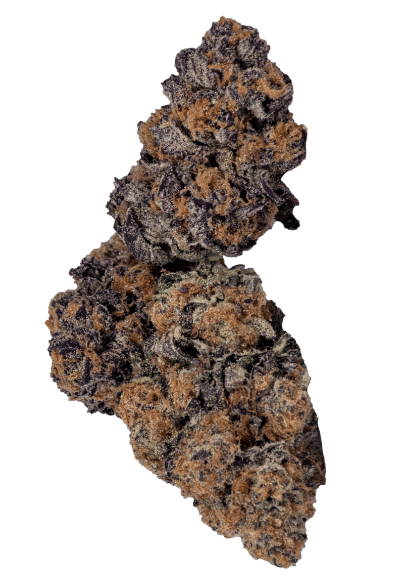 Natural History Flower 3.5g Garlicane By Natural History-Morden Vape SuperStore & Cannabis MB, Canada