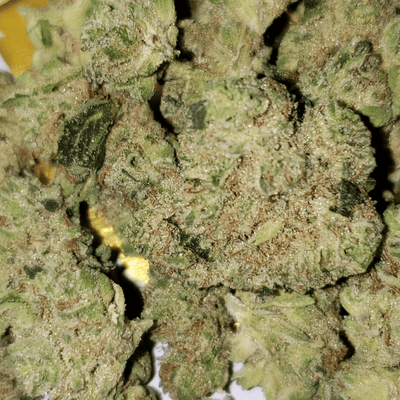 Ness Flower 3.5g Secret Garden Rebel Sour by Ness-Morden Cannabis and Bong Shop