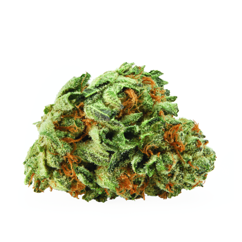 Orange Monkey Chimp Mints by Liiv-Morden Cannabis and Bong Shop Liiv Flower 3.5g Orange Monkey Chimp Mints by Liiv