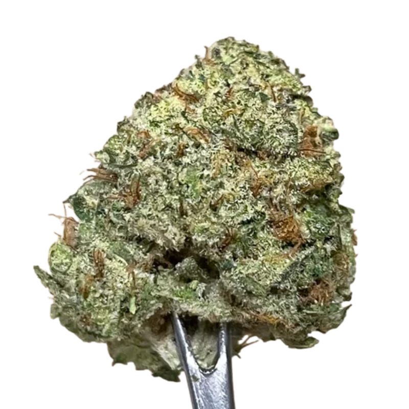 Orange Monkey Chimp Mints by Liiv-Morden Cannabis & Vape SuperStore Liiv Flower 3.5g Orange Monkey Chimp Mints by Liiv