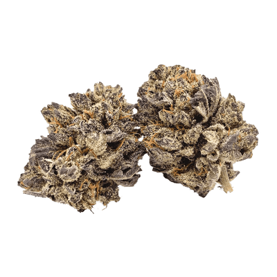 Parksville Purple Kush by Aaron's BC Bud-Morden Cannabis and Bong Shop Aaron's BC Bud Flower 7g Parksville Purple Kush by Aaron's BC Bud