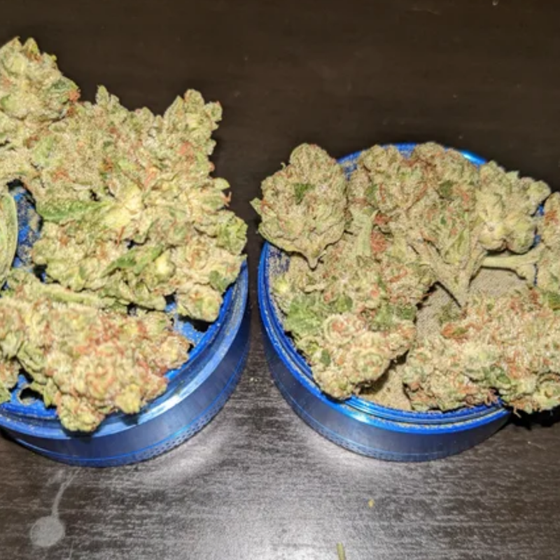 Pineapple Express by Potluck-Morden Cannabis and Bong Shop Manitoba Potluck Flower 7g Pineapple Express by Potluck