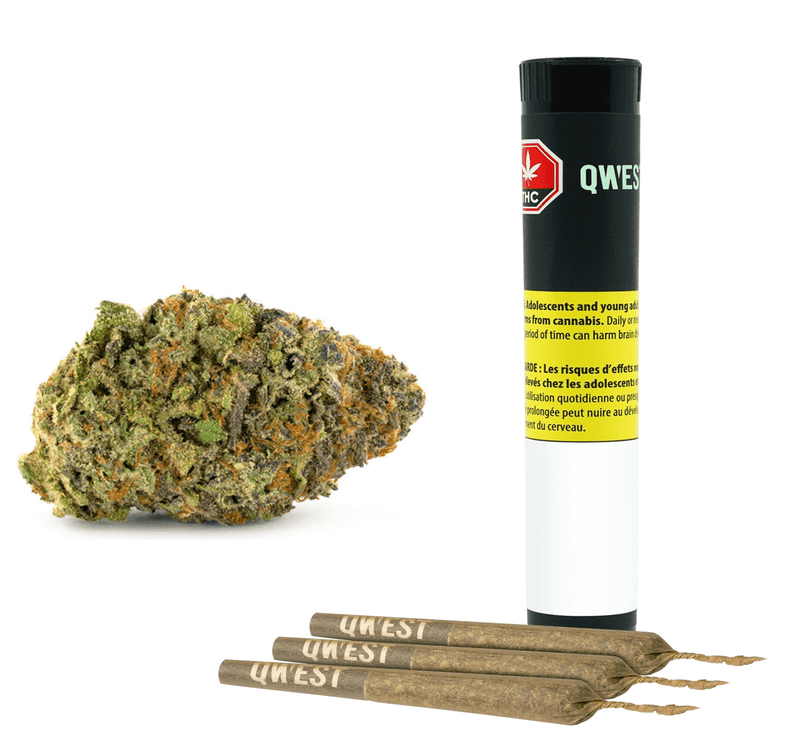 Qwest Reserve Pre-Rolls 3x0.5g Sour Tangie Diamond Infused Pre-Roll-Morden Vape SuperStore & Cannabis