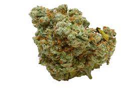 Rad Reefer 20%+ Flower 7g Space Cadet By Rad Reefer 20%+-Morden Vape SuperStore & Cannabis MB