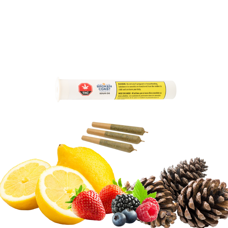 Sour OG Pre-Rolls by Broken Coast-Morden Cannabis and Bong Shop Broken Coast Pre-Rolls 3x0.5g Sour OG Pre-Rolls by Broken Coast