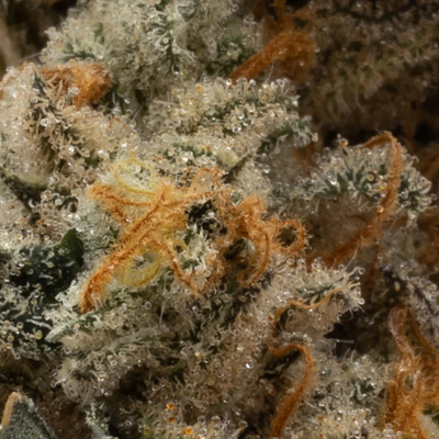 Space Flight Superstar #11 by Ogen-Morden Vape SuperStore & Cannabis Ogen Flower 28g Space Flight Superstar #11 by Ogen