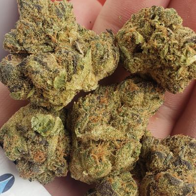 Space Queen by The Loud Plug-Morden Cannabis and Bong Shop, Manitoba The Loud Plug Flower 3.5g Space Queen by The Loud Plug