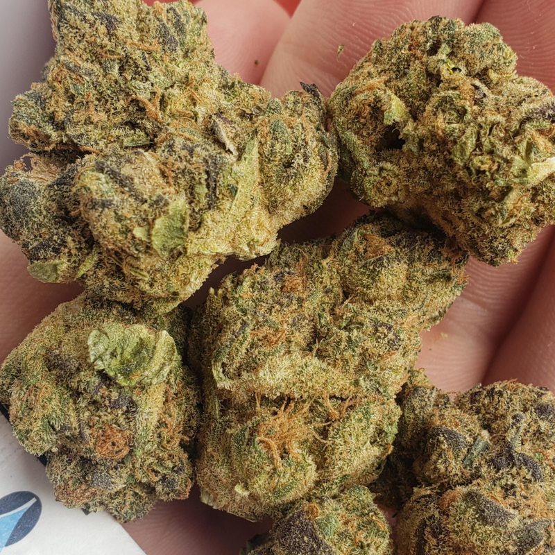 Space Queen by The Loud Plug-Morden Cannabis and Bong Shop, Manitoba The Loud Plug Flower 3.5g Space Queen by The Loud Plug