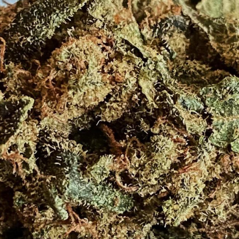 Sticky Larry by Artisan Batch-Morden Cannabis and Bong Shop, Manitoba Artisan Batch Flower 3.5g Sticky Larry by Artisan Batch